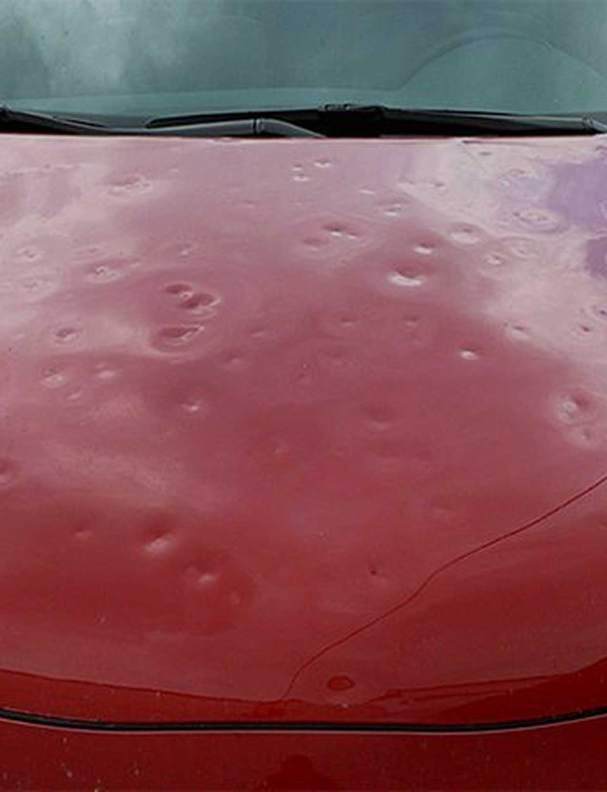 Hail Damage Repair