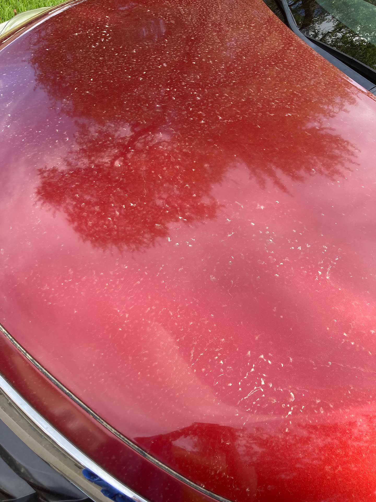 Contaminant Staining